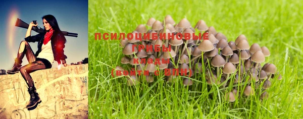 скорость mdpv Вяземский